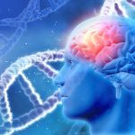 3D medical background with male head with brain and DNA strands; Photo courtesy of kirstypargeter/iStock/Getty Images